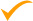 [image] orange checkmark