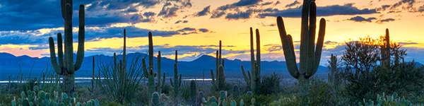 Arizona