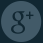 Google+