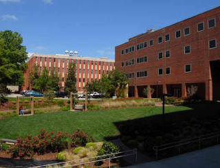 [image] University campus