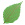 [bullet] leaf